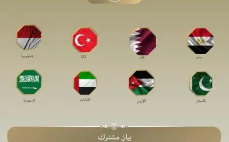 ثماني دول تصدر بياناً مشتركاً لإدانة انتهاكات الاحتلال والمطالبة بوقف إطلاق النار في غزة