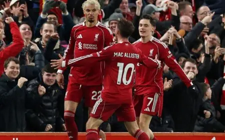 جدول مباريات ليفربول لشهر فبراير 2026 كل المواعيد والأوقات