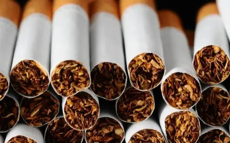 ارتفاع أسعار السجائر المستوردة بدءًا من الغد وزيادة تصل إلى 6 جنيهات للعلبة