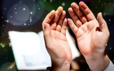 دينا أبو الخير تكشف عن استراتيجية فعالة لسداد الديون الصعبة