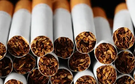تعرف على أسباب زيادة أسعار السجائر الأجنبية في مصر وكيف تؤثر عليك