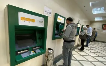 البنك الأهلي يهيمن على القطاع المصرفي المصري بنسبة 38% ويجذب 40% من السيدات