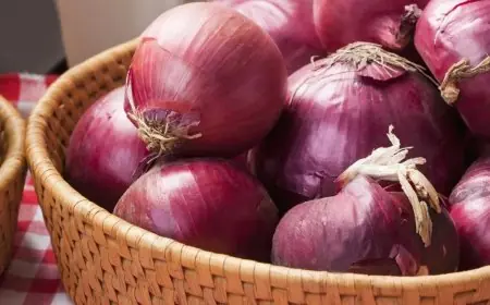 نجاح مصر في فتح السوق الفيتنامي أمام صادرات البصل والثوم بفضل جهود وزير الزراعة