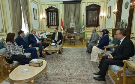 رئيس جامعة القاهرة يستقبل وفد الشؤون الإفريقية بوزارة الخارجية المصرية