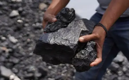 اكتشف كيف ساهم الفحم في تغيير المناخ على مدار 500 عام