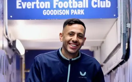 اتهام كريستال بالاس بالتلاعب بالصحة النفسية لدوايت ماكنيل