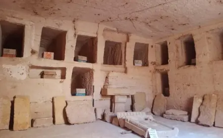 وزير الخارجية يثمن تعزيز التعاون مع البرتغال لاسترداد الأثار المصرية