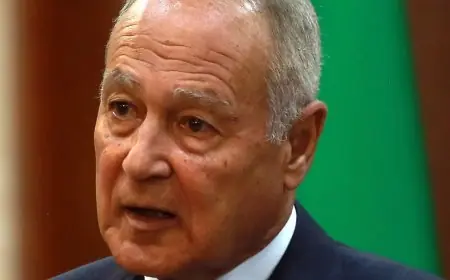 أبوالغيط يؤكد أهمية حماية الجامعة العربية وتقوية العمل المشترك لمواجهة التدخلات الخارجية