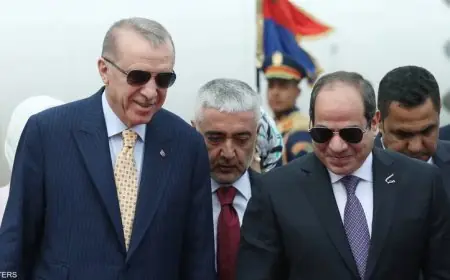 أردوغان يعلن مصر كأكبر شريك تجاري لتركيا داخل القارة الأفريقية