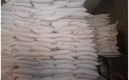 نفي توقف توريد السكر وتأكيد استقرار الأسعار من القابضة للصناعات الغذائية