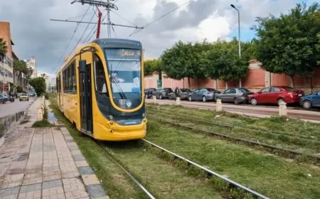 الحكومة تنفي إزالة ترام الرمل في الإسكندرية نهائياً