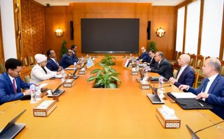 تصريح وزير الخارجية: مصر تواصل دعمها الثابت لوحدة وسيادة الصومال