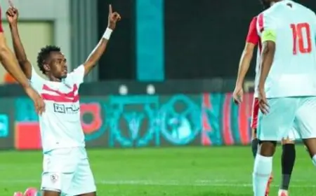 إيقاف قيد جديد يضرب الزمالك للمرة الحادية عشرة بفعل قرارات فيفا
