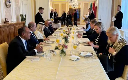 وزير الخارجية يناقش مع رئيس وزراء سلوفينيا آخر التطورات الإقليمية والدولية