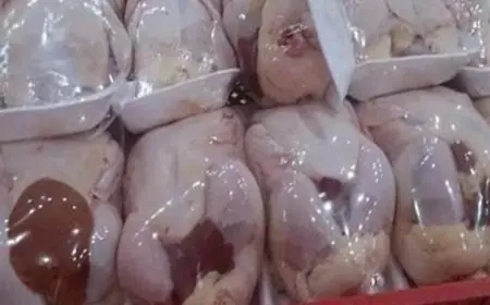 مصطفى بكري يكشف السر وراء ارتفاع أسعار الدواجن والجمبري: ثلاث شخصيات في قلب الأزمة