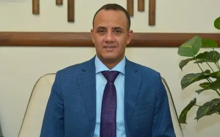 رئيس شعبة الدواجن يكشف السر وراء ارتفاع أسعار الفراخ بسبب الوسطاء وأصحاب المحلات