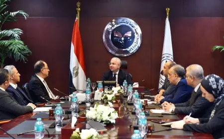 الاستثمار والمناطق الحرة والسويدي إليكتروميتر تناقش تعزيز الاستثمار الصناعي وتحديات التوسع