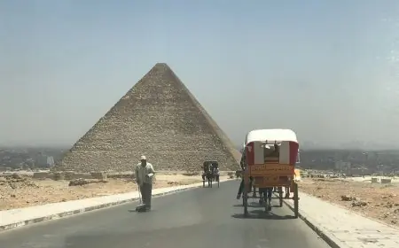 محافظة الجيزة تزيل القمامة والنفايات استجابة لـ على مسئوليتي بالقرب من الأهرامات