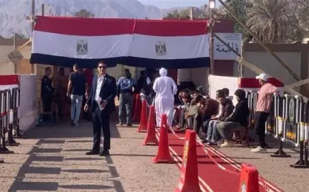 لماذا أُلغيت نتائج انتخابات النواب في منيا القمح: تصويت المسافرين في الداخل يثير الجدل