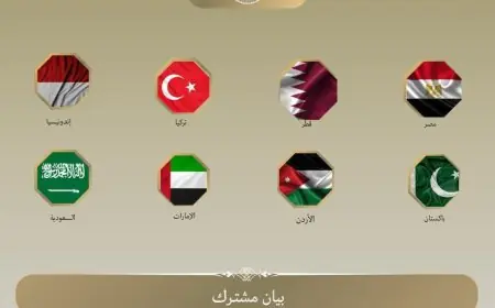 الدول العربية والإسلامية تُدين الأنشطة الإسرائيلية المهددة لحل الدولتين