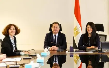 وزيرة التخطيط تناقش تعزيز العلاقات الاقتصادية مع فرنسا ضمن شراكة رفيعة المستوى