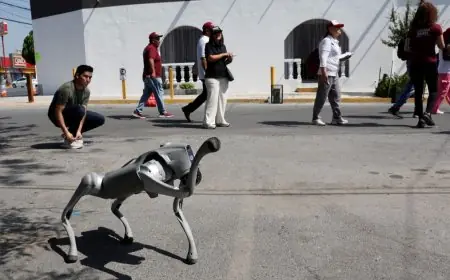 المكسيك تعتمد على كلاب آلية لتعزيز الأمن في كأس العالم 2026