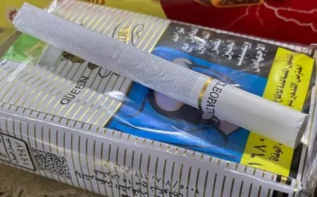 تعرف على أسعار السجائر اليوم الثلاثاء بالأسواق بعد الزيادة الأخيرة بقيمة 4 جنيهات