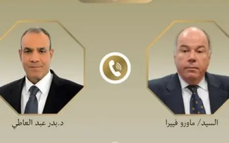 محادثة هاتفية بين وزيري الخارجية المصري والبرازيلي تعزز التعاون المشترك