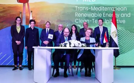 المشاط تشهد توقيع منحة 90 مليون يورو لدعم الطاقة المتجددة في مصر وتعزيز قدراتها