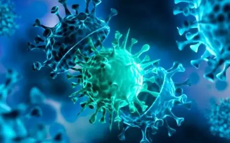 تعرف على كيفية تعزيز أزمة كورونا لمفهوم ريادة الأعمال في مصر