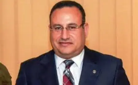 تعرف على عبد العزيز قنصوة وزير التعليم العالي الجديد