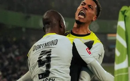 بوروسيا دورتموند يعلن عن تحقيق أرباح مذهلة بقيمة 18.7 مليون يورو