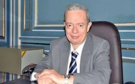 من هو الدكتور حسين عيسي نائب رئيس الوزراء للشؤون الاقتصادية وتفاصيل سيرته الذاتية