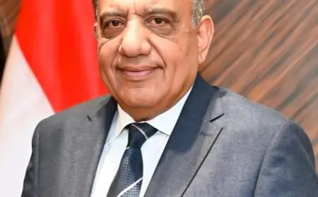 محمود عصمت وزير الكهرباء يستمر في قيادة خطة تطوير الشبكة القومية