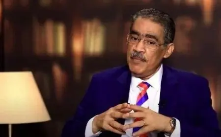 تعرف على السيرة الذاتية لضياء رشوان وزير الدولة للإعلام