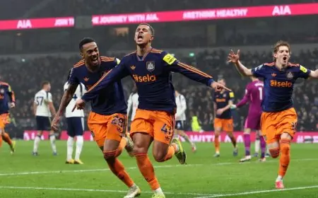 نيوكاسل يستعيد قوته وتوتنهام يواجه المزيد من التحديات