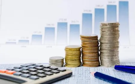 75 في المئة من إيرادات الموازنة تعتمد على الضرائب حسب حسام عيد