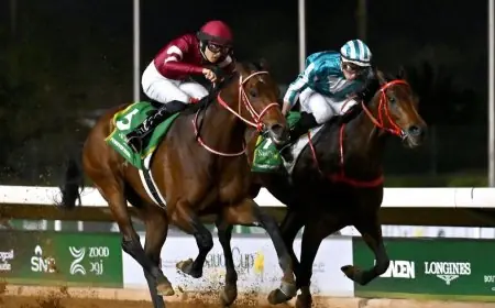 جوائز ضخمة ومشاركة دولية في كأس السعودية أغلى سباق خيل عالمي