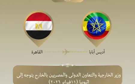 وزير الخارجية يقود وفد مصر في قمة الاتحاد الأفريقي واجتماعات المجلس التنفيذي في أديس أبابا