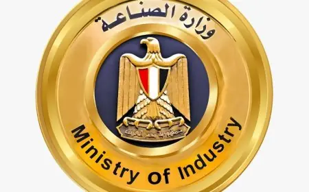 وزارة الصناعة تنفي تصريحات الوزير حول المصانع المتعثرة وتلك التي تحت الإنشاء والمغلقة