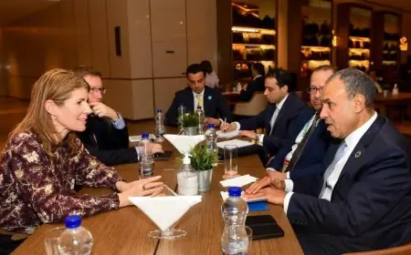 لقاء وزير الخارجية مع وزيرة التنمية البريطانية لبحث تعزيز التعاون في أفريقيا