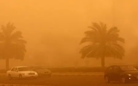 الأرصاد تحذر: عاصفة من الأتربة والرياح القوية تهز القاهرة الكبرى والمناطق المجاورة