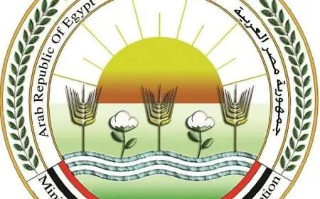 توصيات عاجلة من وزارة الزراعة للمزارعين لتفادي آثار التقلبات الجوية السلبية