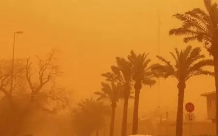 وزارة الصحة تنبه مرضى الجيوب الأنفية والحساسية بتجنب الخروج خلال العاصفة