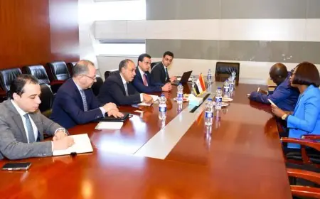 لقاء مهم بين وزير الخارجية ونظيرته من جمهورية أفريقيا الوسطى