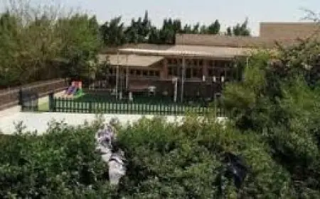 اكتشف التفاصيل والمفاجآت الصادمة في قضية الإتجار بالبشر الكبرى