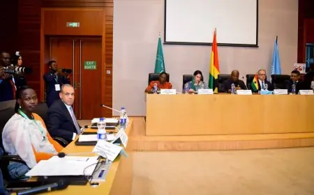 مكافحة الإتجار غير المشروع بالممتلكات الثقافية تتصدر أولويات الدول الإفريقية وفقًا لوزير الخارجية