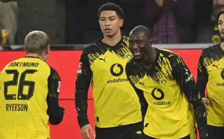 دورتموند يكتسح ماينز بثنائية غيراسي ولمسات ساحرة من جوليان رييرسون