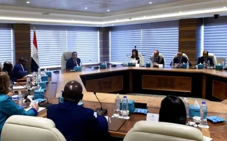 مصر تؤكد مجددًا دعمها المستمر لجهود الاتحاد الأفريقي والآليات الإقليمية من أجل تحقيق السلام الدائم