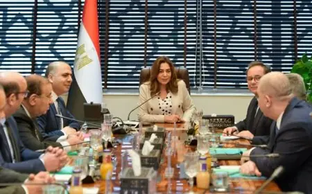 وزيرة التنمية المحلية تؤكد: استدامة وصيانة وحدات الغاز الحيوي القائمة على رأس الأولويات